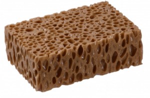 Kaja Sponge 18x12x6 cm